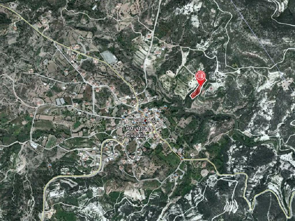 Field-Asgata-PR34067