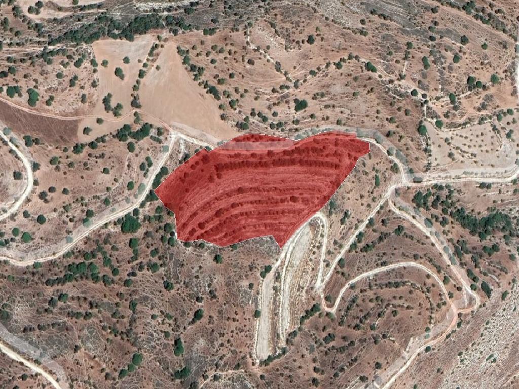Field-Nata-PR37561