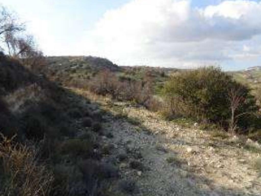 Field-Nata-PR37561