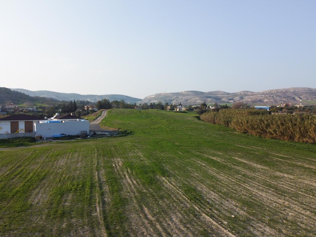 Field (Share) - Avdellero, Larnaca
