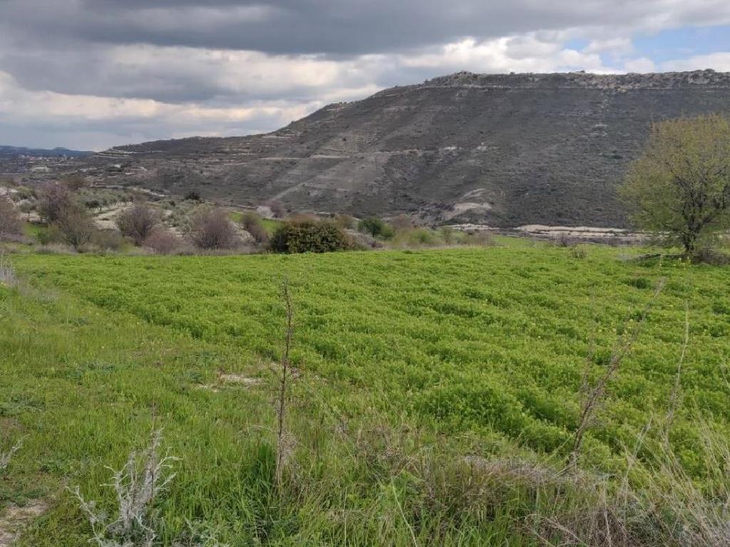 Field-Pachna-PR38108