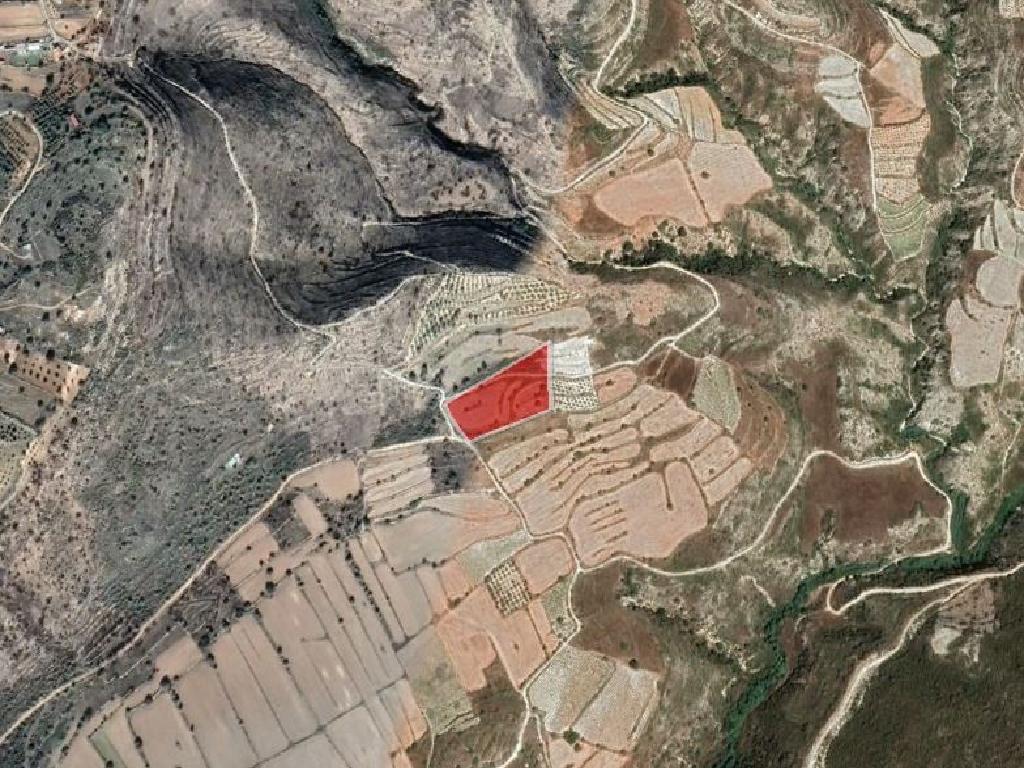 Field-Pachna-PR38108