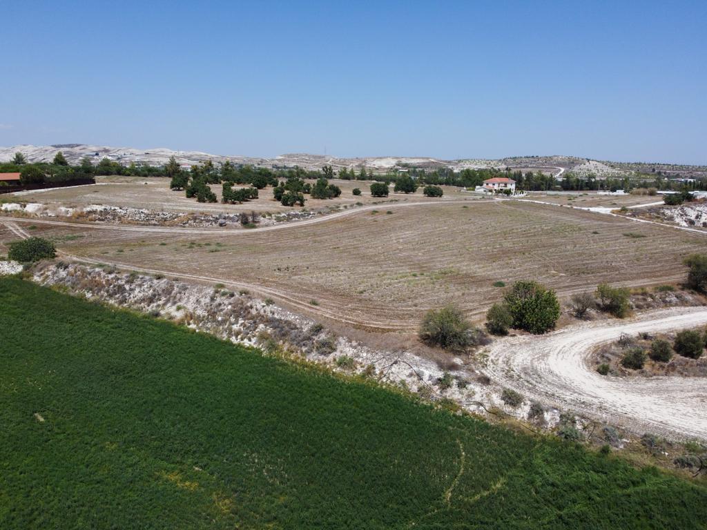 Field - Aradippou, Larnaca