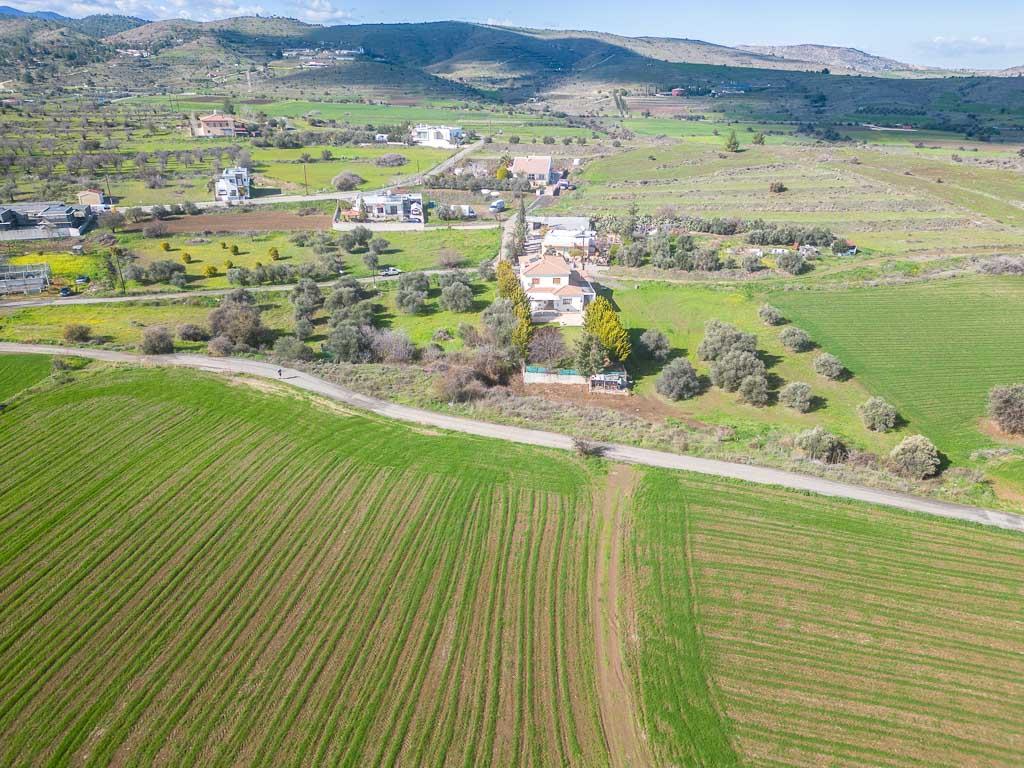 Field-Kalo Chorio (Oreinis)-PR39236