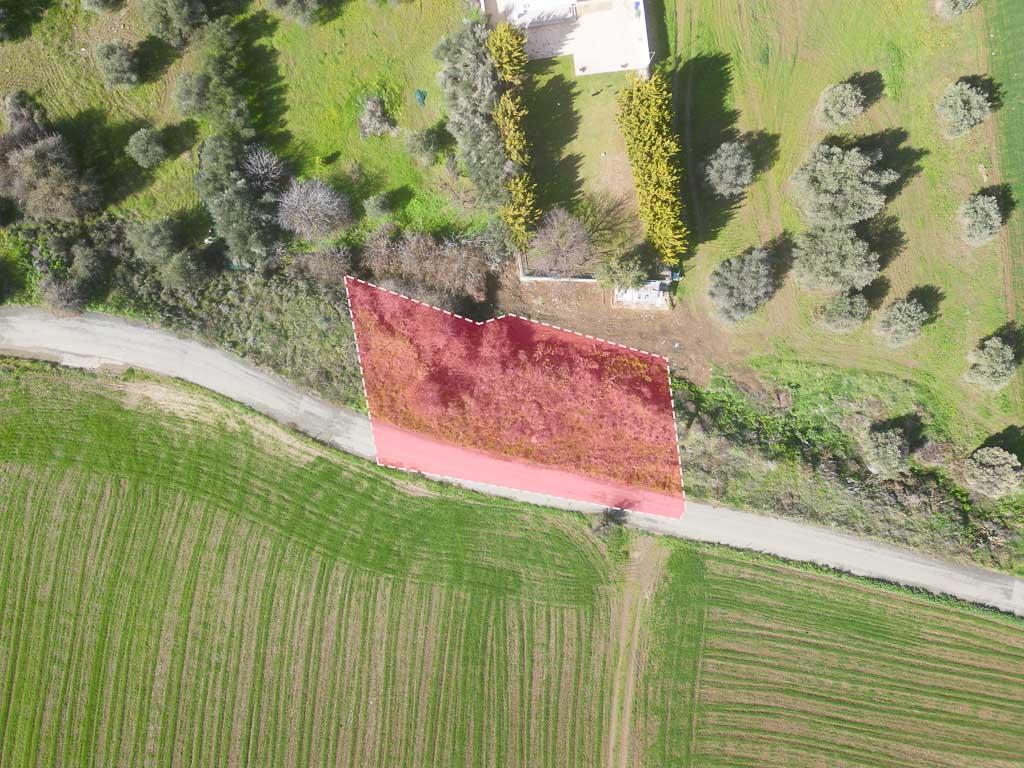 Field-Kalo Chorio (Oreinis)-PR39236