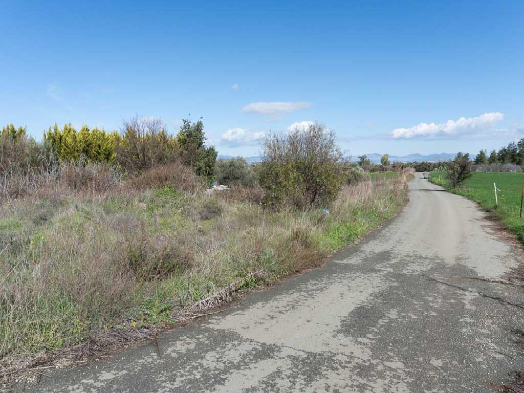 Field-Kalo Chorio (Oreinis)-PR39236