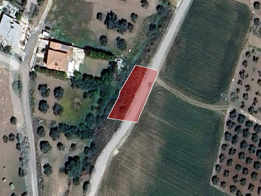 Field-Kalo Chorio (Oreinis)-PR39236