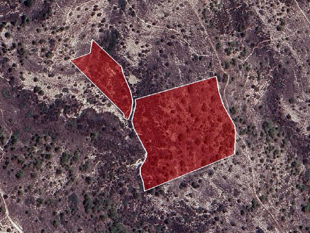 Field-Asgata-PR39365