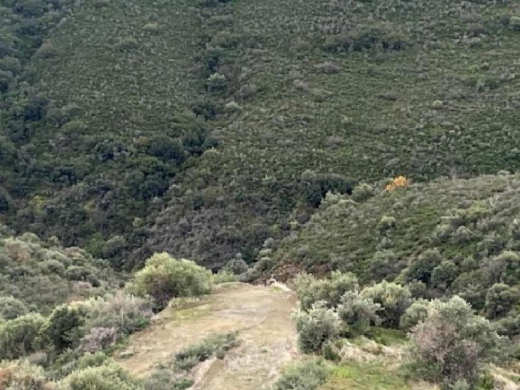 Field (Share) - Vavatsinia, Larnaca