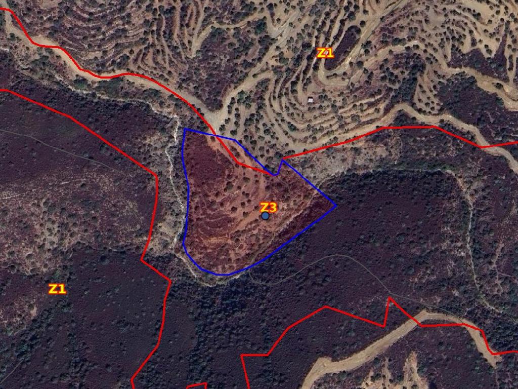 Field (Share) - Vavatsinia, Larnaca