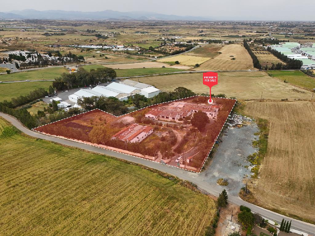 Field - Agioi Trimithias, Nicosia
