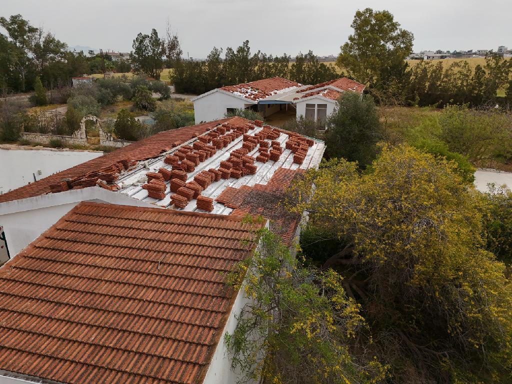 Field - Agioi Trimithias, Nicosia