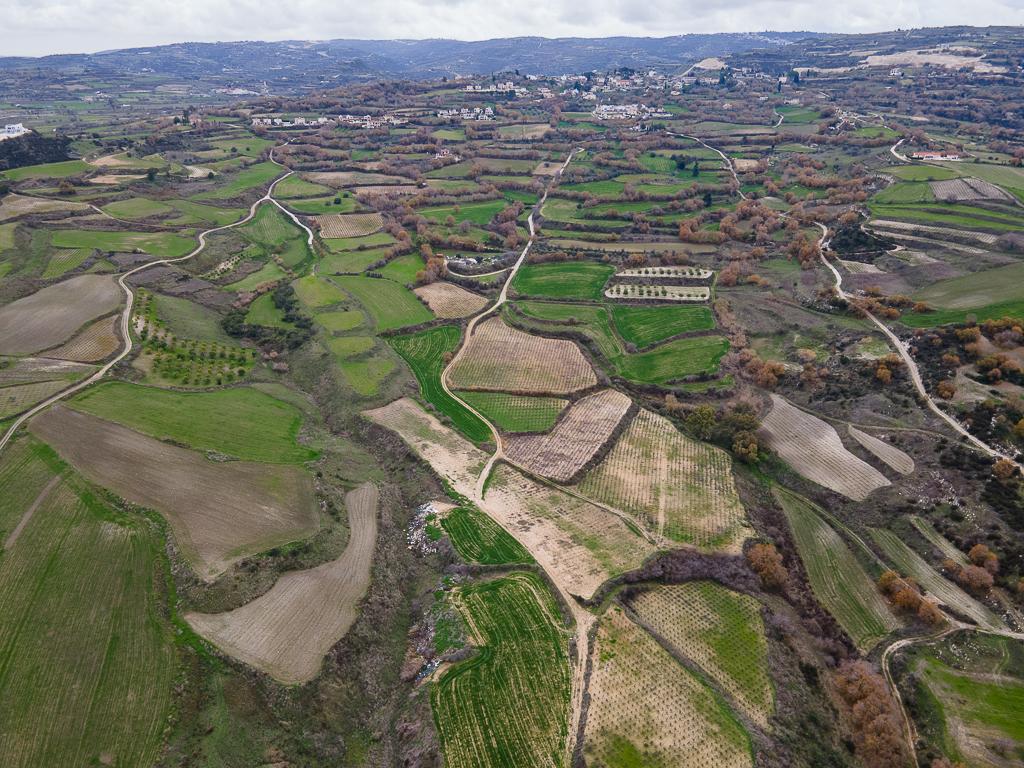 Field-Stroumpi-PR41909