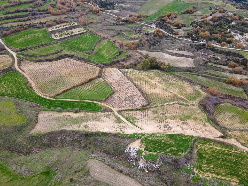 Field-Stroumpi-PR41909