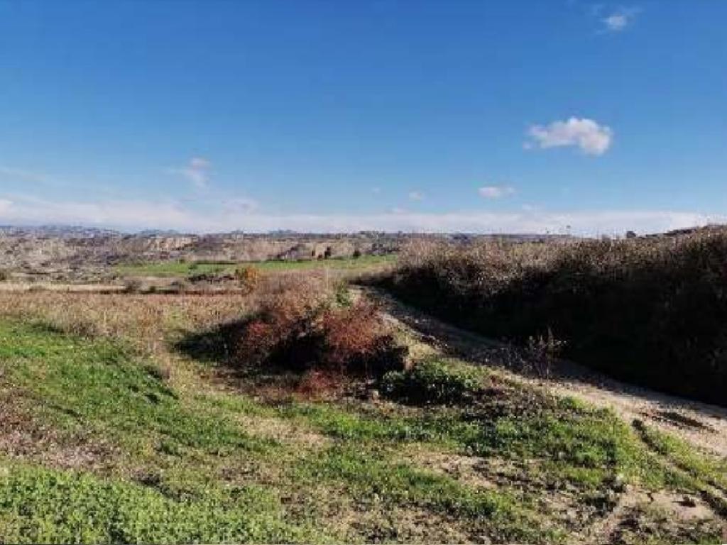 Field-Stroumpi-PR41909