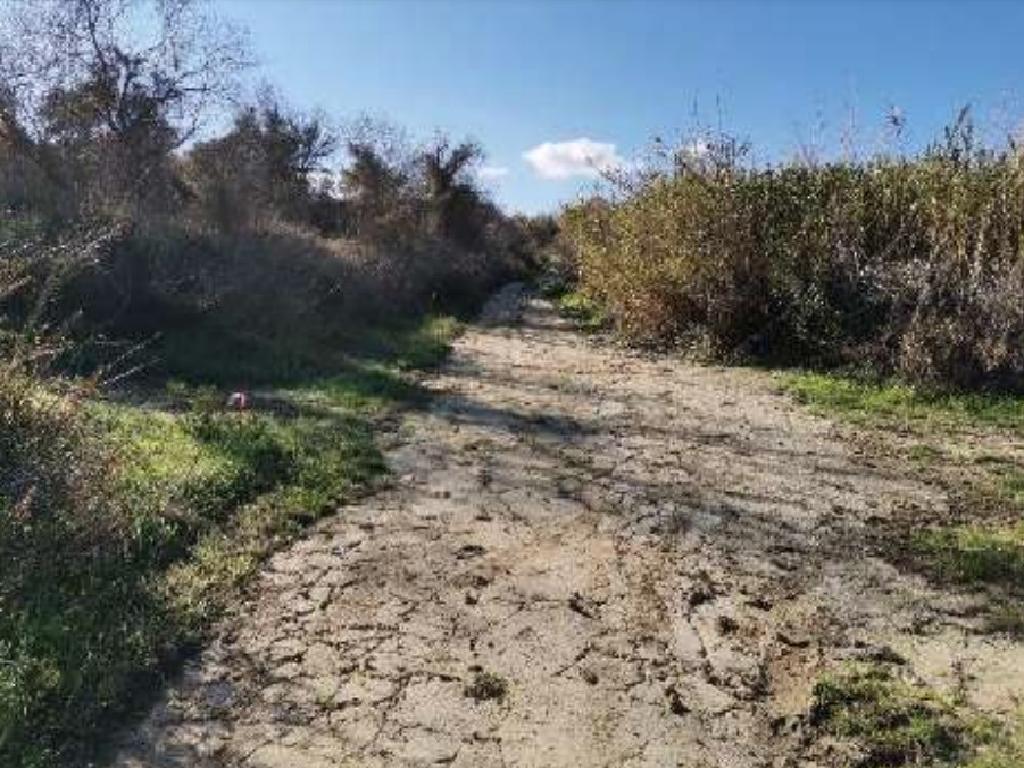Field-Stroumpi-PR41909