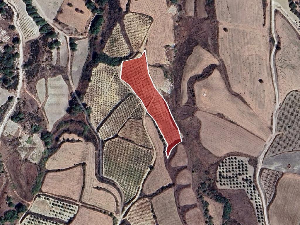 Field-Stroumpi-PR41909