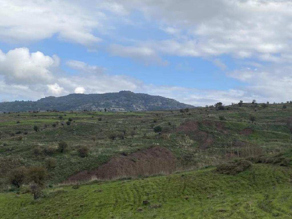 Field-Kelokedara-PR42266