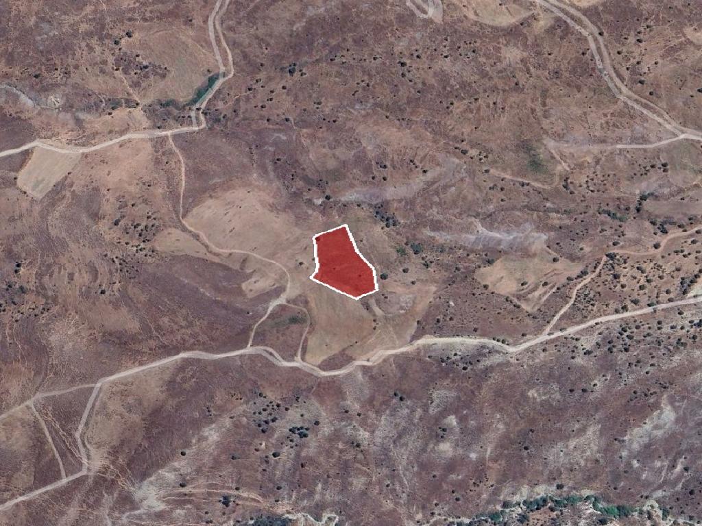 Field-Kelokedara-PR42266