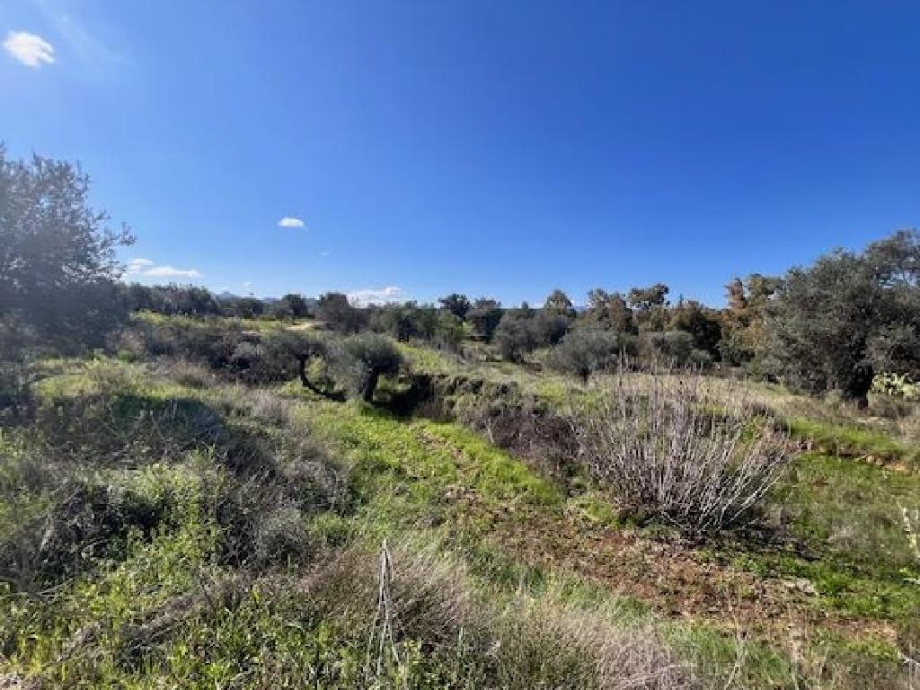 Field-Arediou-PR42437