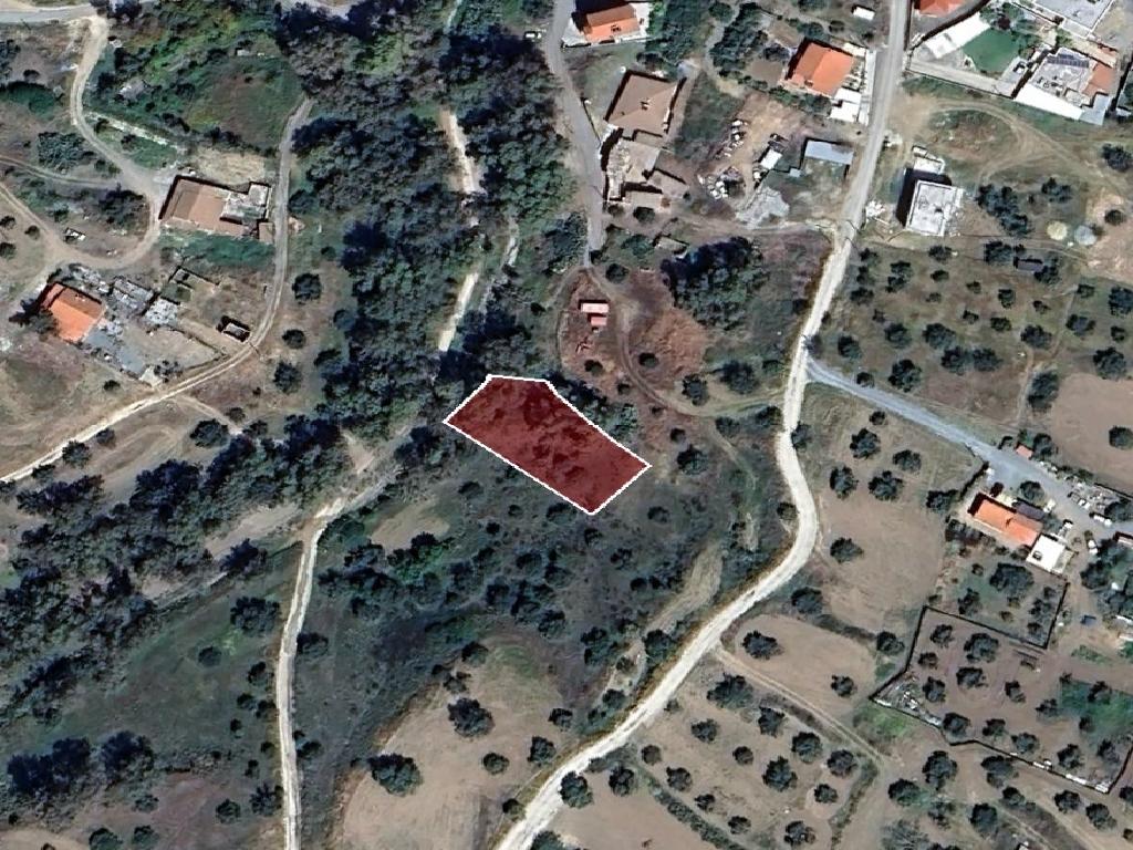 Field-Arediou-PR42437