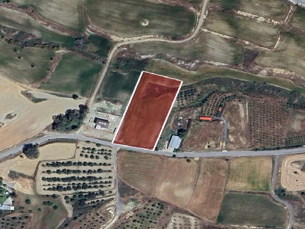 Field-Agios Ioannis-PR43172