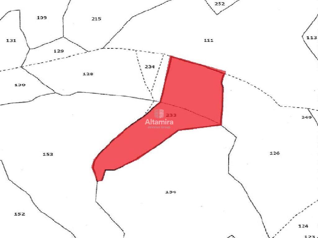 Field - Ineia, Paphos