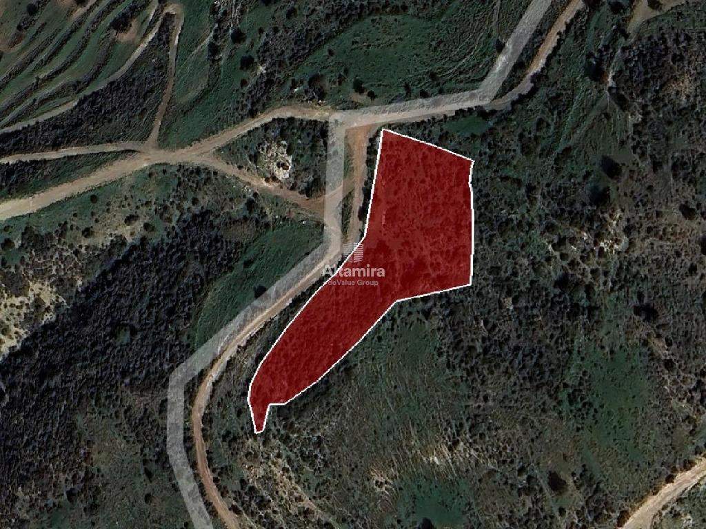 Field - Ineia, Paphos