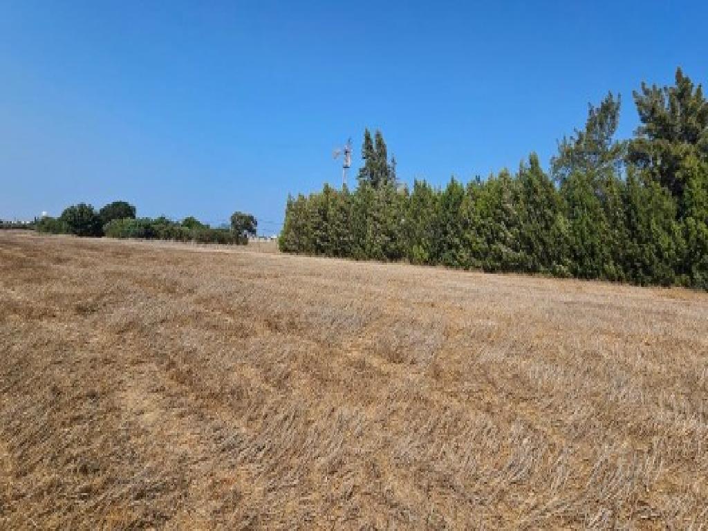 Field - Deryneia, Famagusta