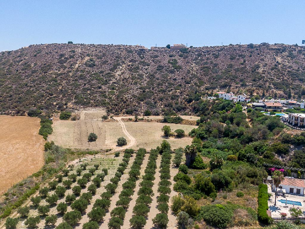 Field-Pissouri-PR46358