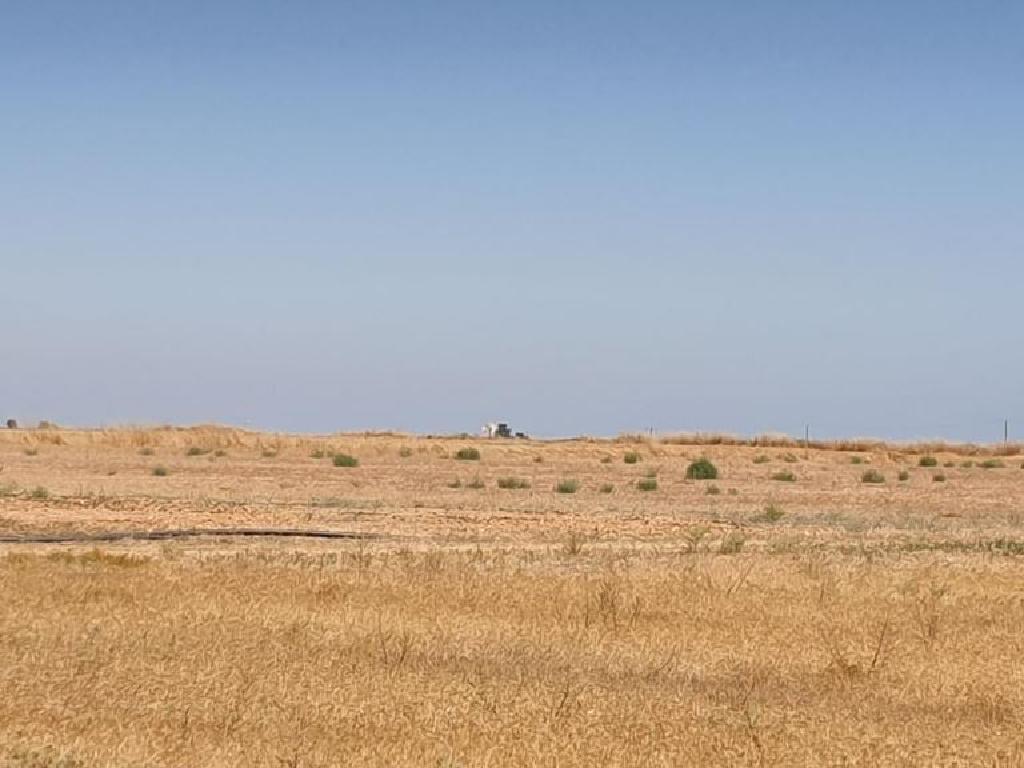 Field - Xylotympou, Larnaca