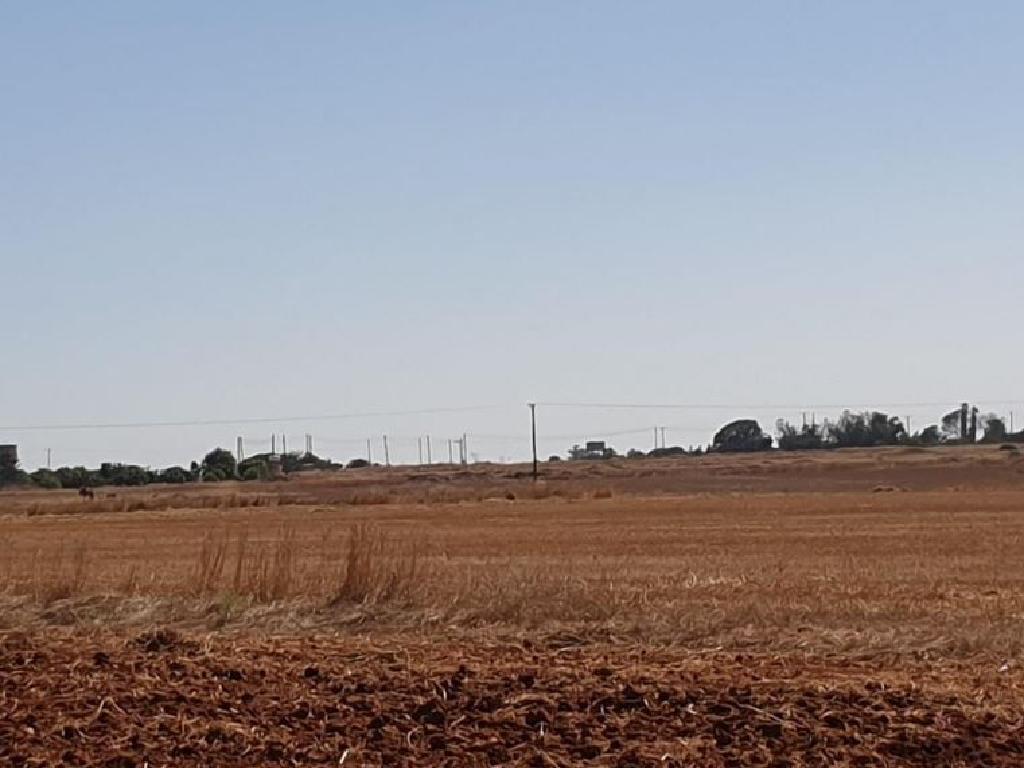 Field - Xylotympou, Larnaca