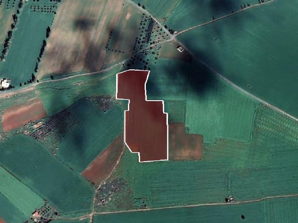 Field - Xylotympou, Larnaca