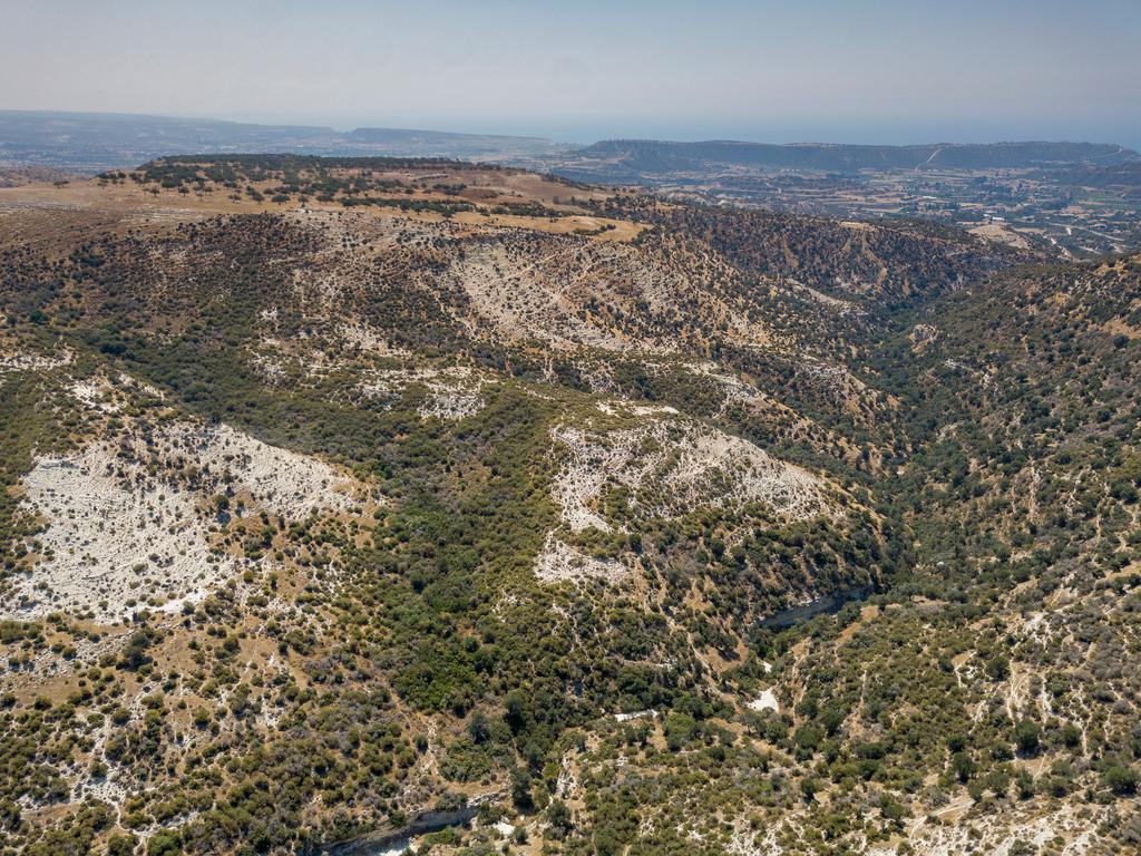 Field - Pissouri, Limassol