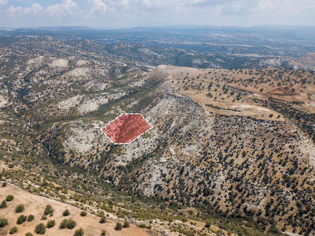 Field - Pissouri, Limassol