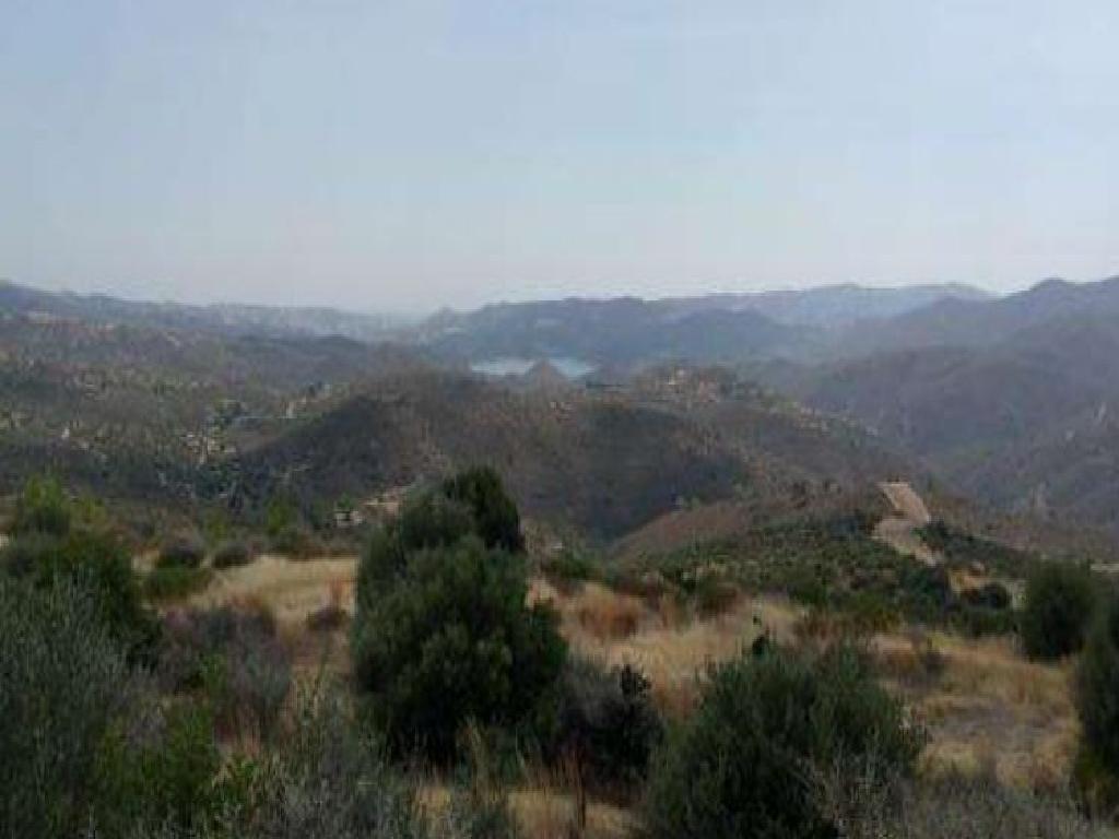 Field-Lageia-PR13344