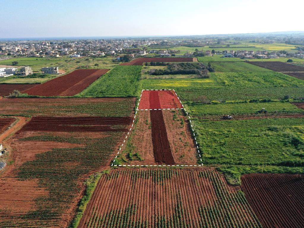 Field (Share) - Liopetri, Famagusta