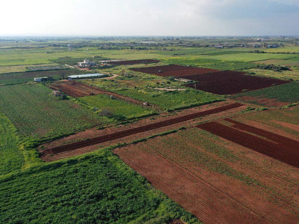 Field (Share) - Liopetri, Famagusta