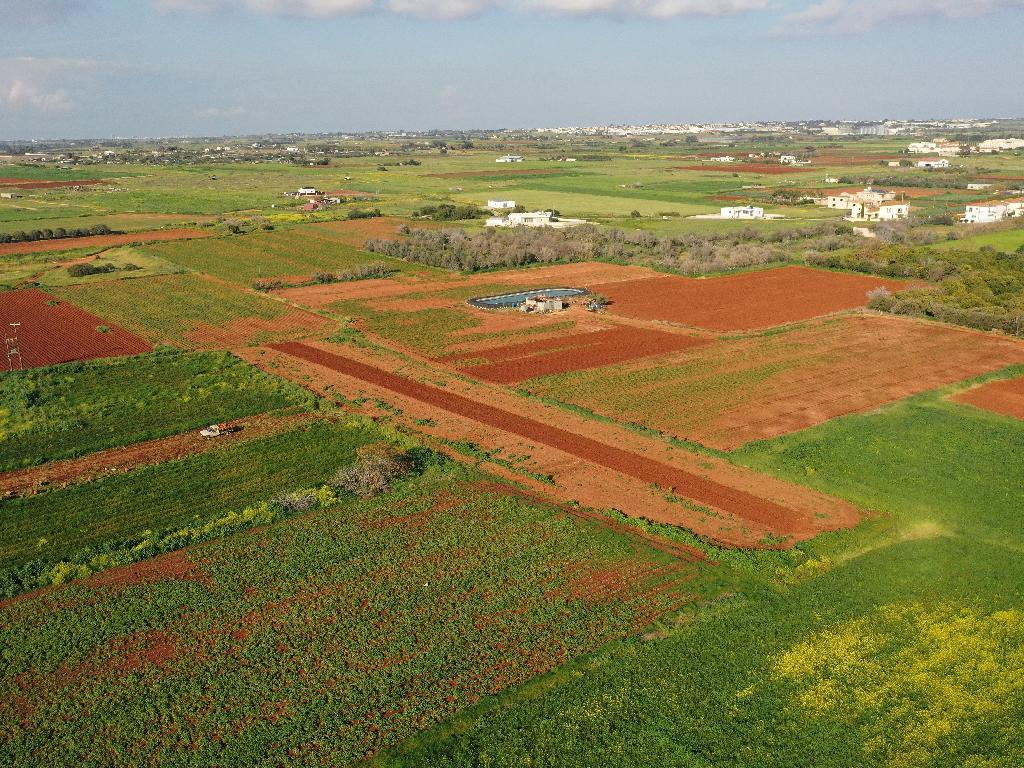 Field (Share) - Liopetri, Famagusta