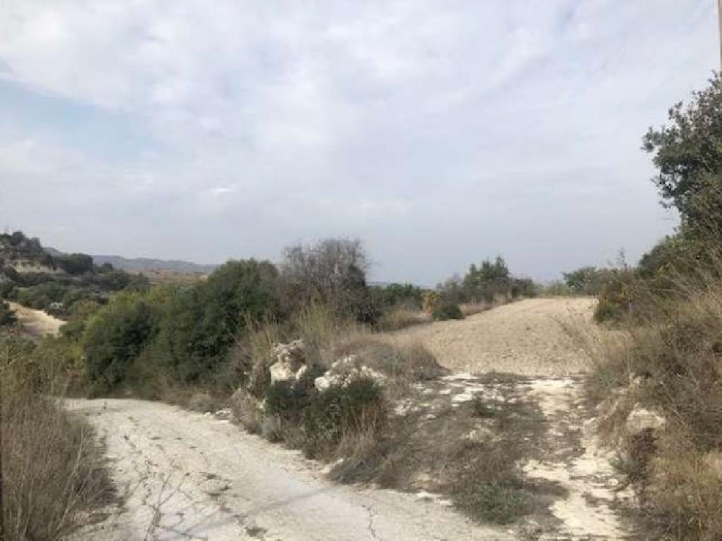 Field-Stroumpi-PR34652