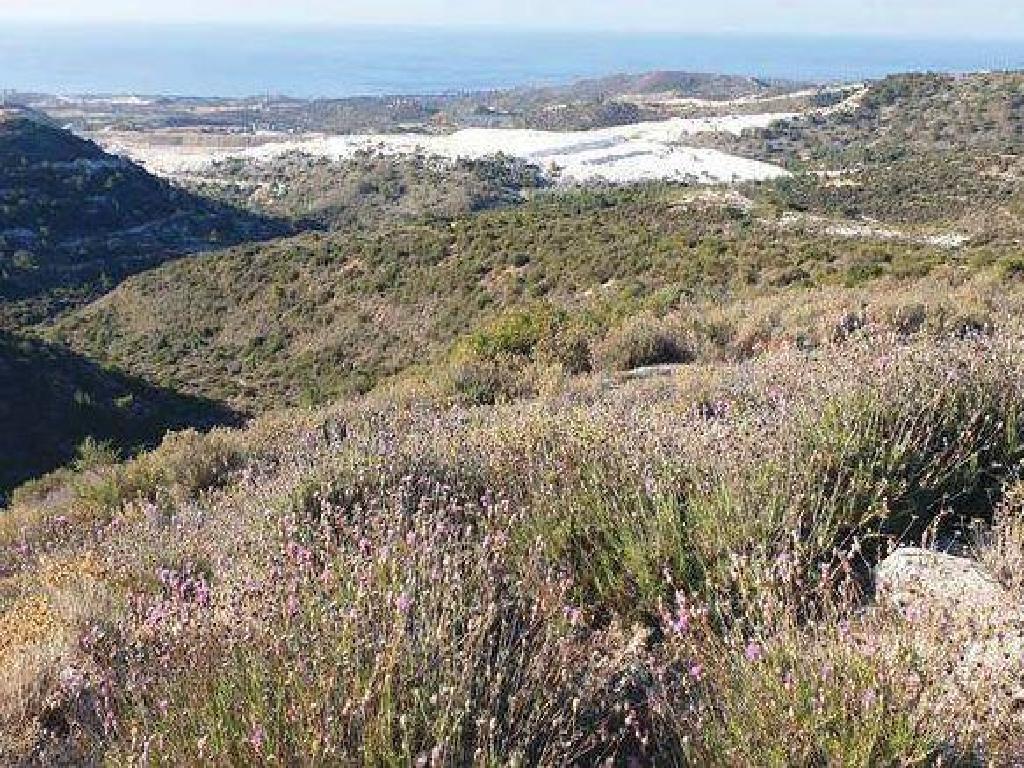Field-Asgata-PR36043