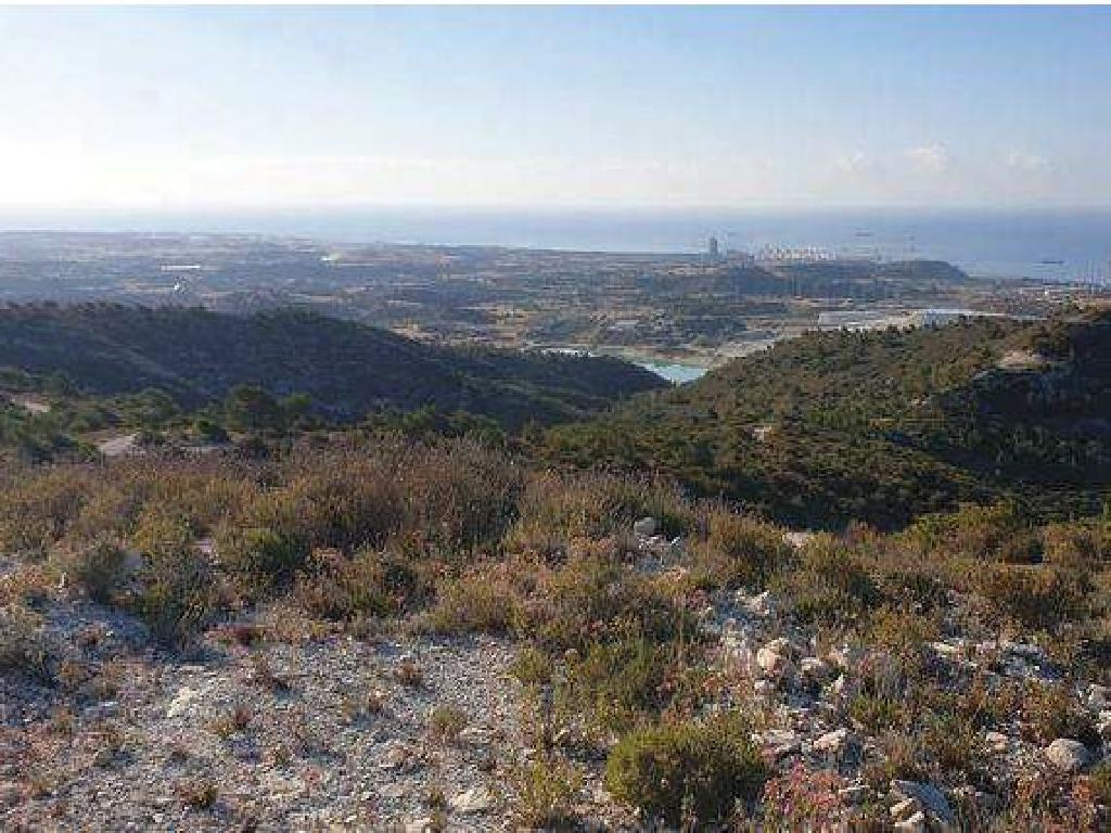 Field-Asgata-PR36043