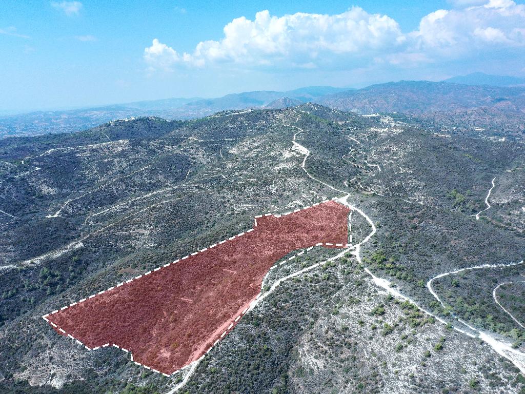 Field-Asgata-PR36043