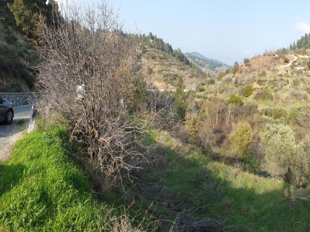 Field-Kannavia-PR35438