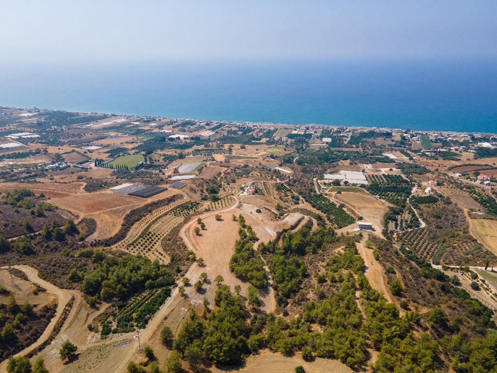 Field - Agia Marina (Chrysohous), Paphos