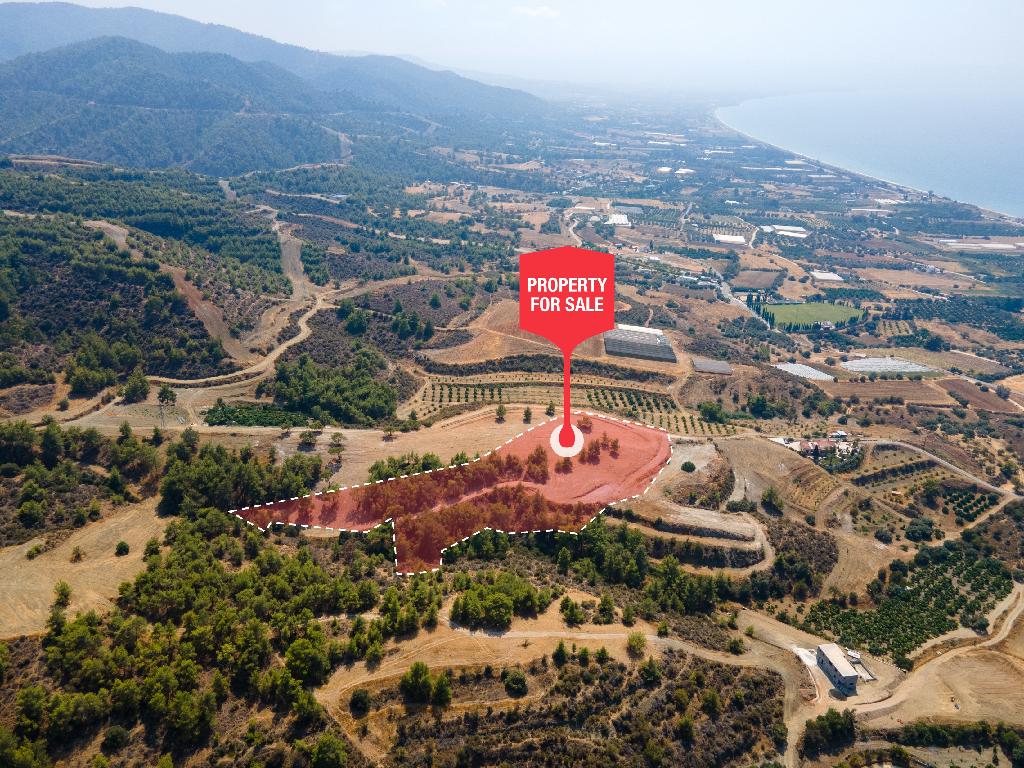 Field - Agia Marina (Chrysohous), Paphos