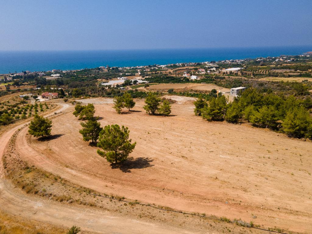 Χωράφι - Αγία Μαρίνα Χρυσοχούς, Πάφος