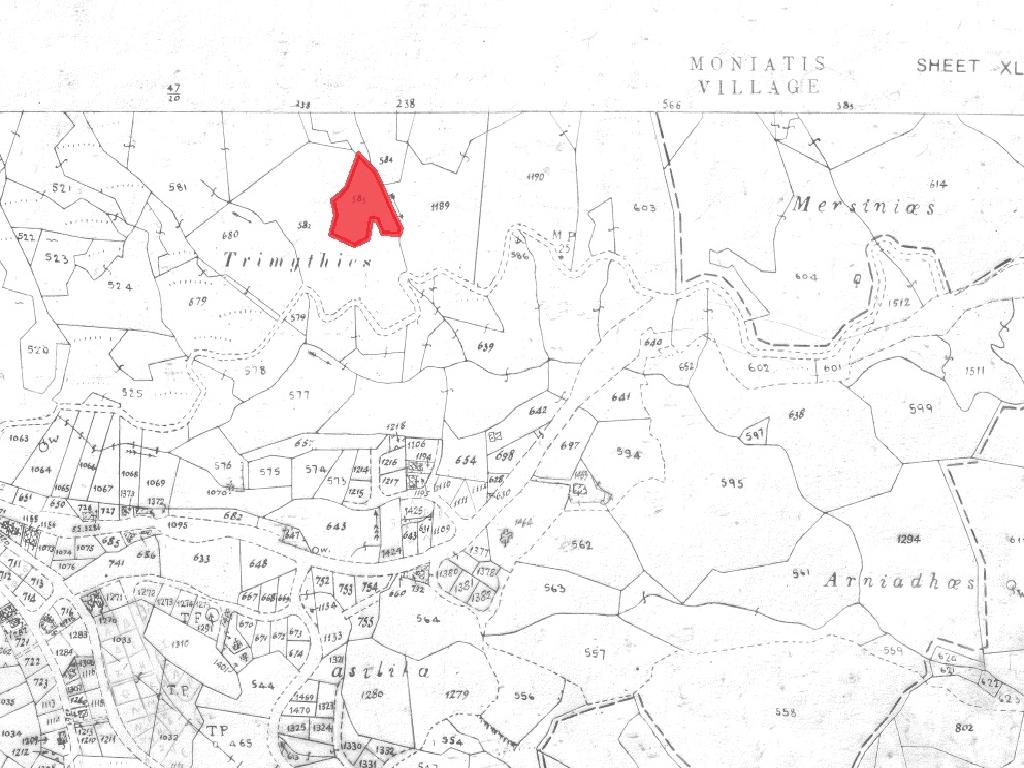 Field-Pera Pedi-PR36939