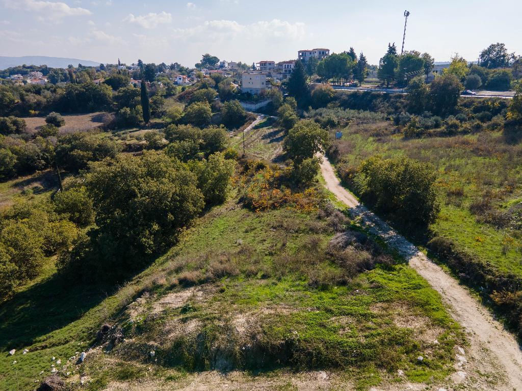Field-Stroumpi-PR36687