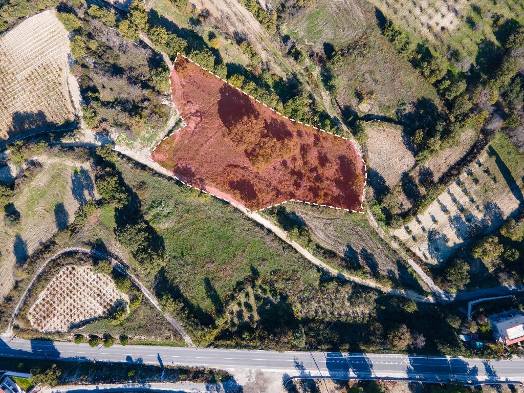 Field-Stroumpi-PR36687